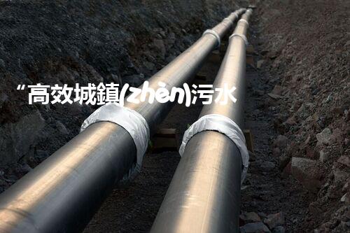 “高效城鎮(zhèn)污水處理流程，守護碧水藍天新篇章”